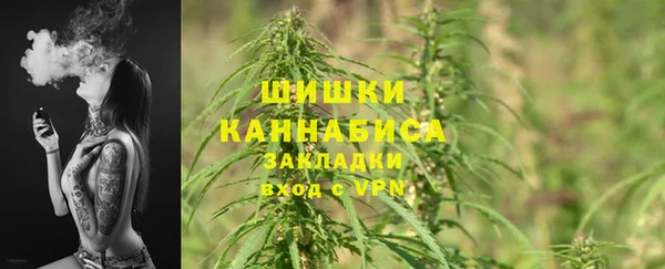первитин Богородицк