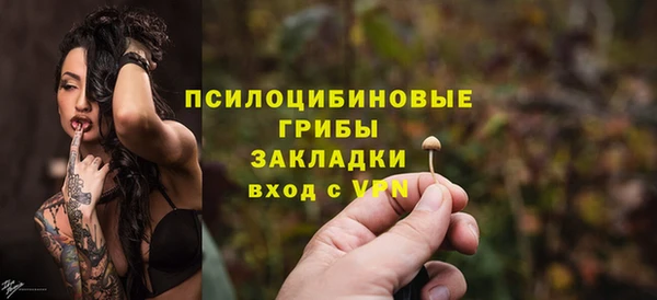 первитин Богородицк