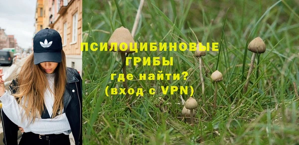 таблы Богданович