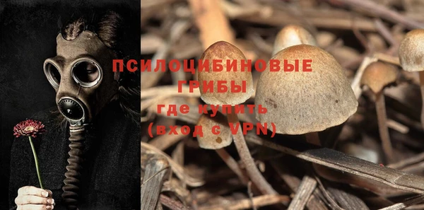 первитин Богородицк